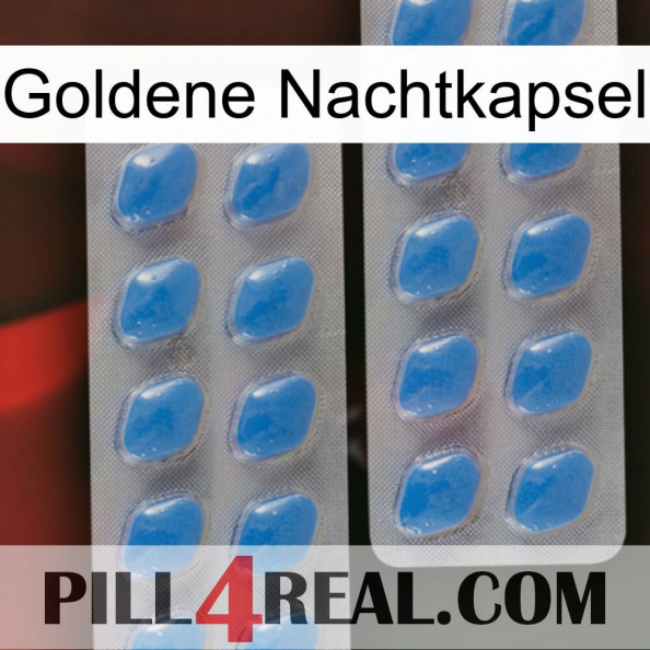 Golden Night Capsule 23.jpg